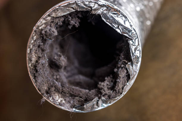 Best Commercial Air Duct Cleaning  in North Miami Beach, FL